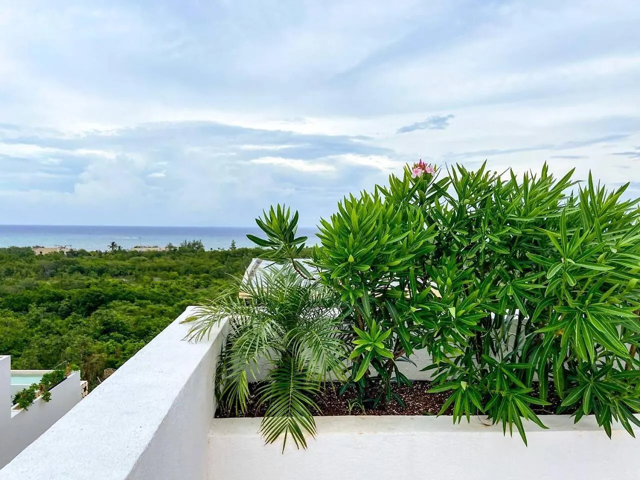 Apartment Best Studio At 5Th Ave With Pool Gym Steps To Beach Playa del Carmen Mexico
